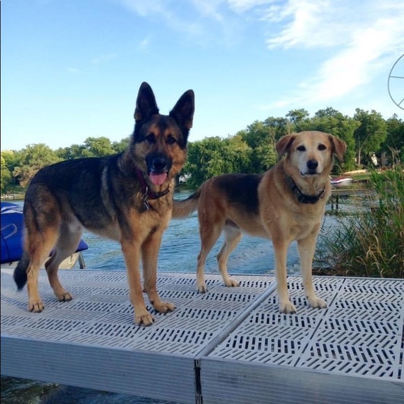 ✨ Welcome to my closet! ✨ - Picture 3 of 3